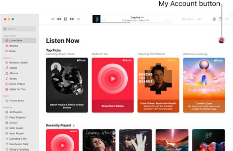 Where Is the Account Menu on Apple Music and the Quest for a Personalized Listening Experience