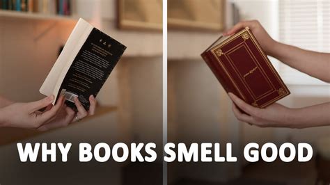 Why Do Books Smell Good? – Delving into the Mysteries of a Familiar Aroma